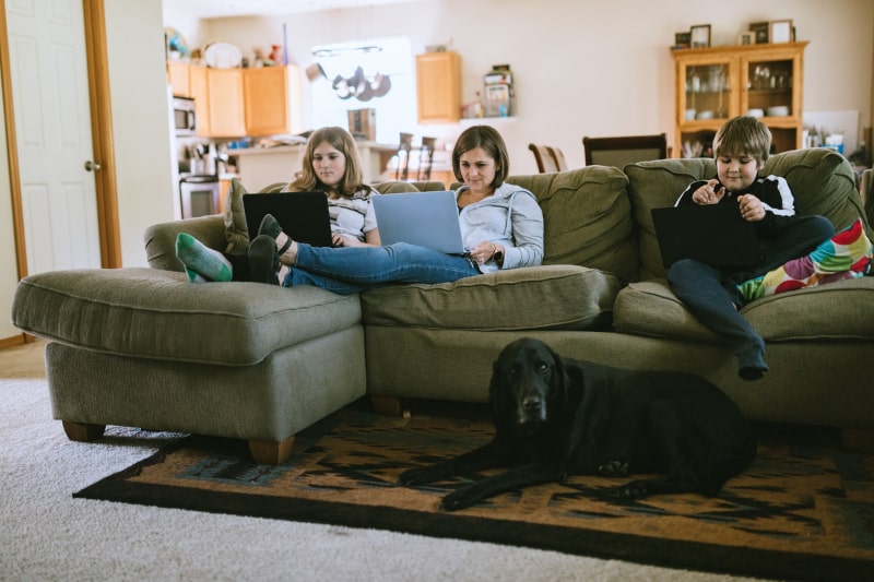 Enjoying Air Cleaner in home